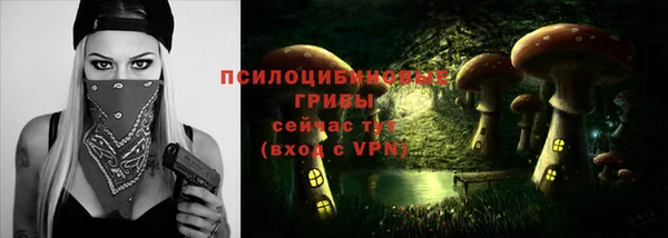 mdpv Верхний Тагил