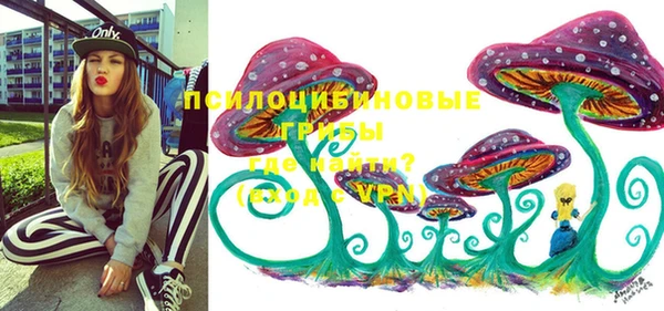прущая мука Богородск